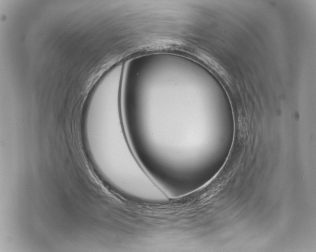 X0000070850485200606160946