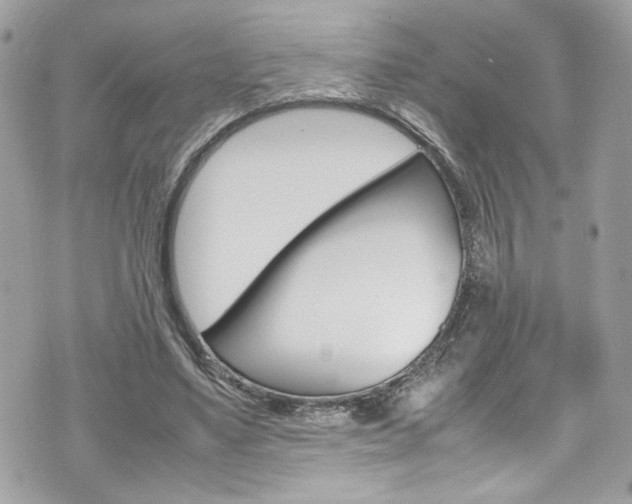 X0000070850491200606160946