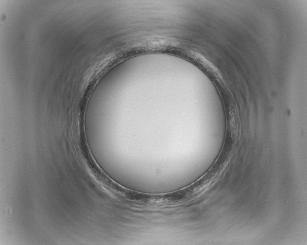 X0000070850493200606160946