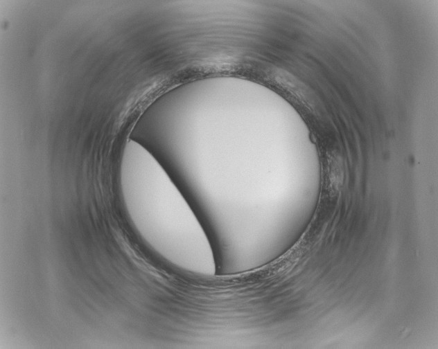 X0000070850494200606160946
