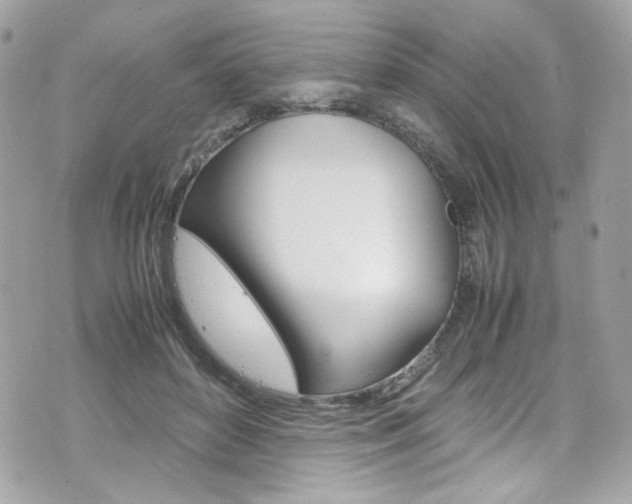 X0000070850504200606160946