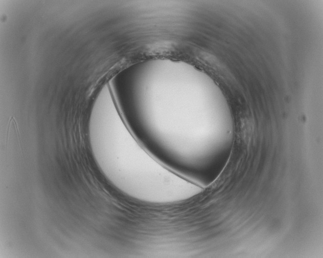 X0000070850508200606160945