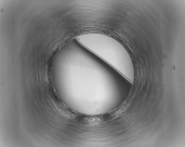 X0000070850512200606160945