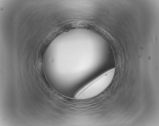 X0000070850513200606160945