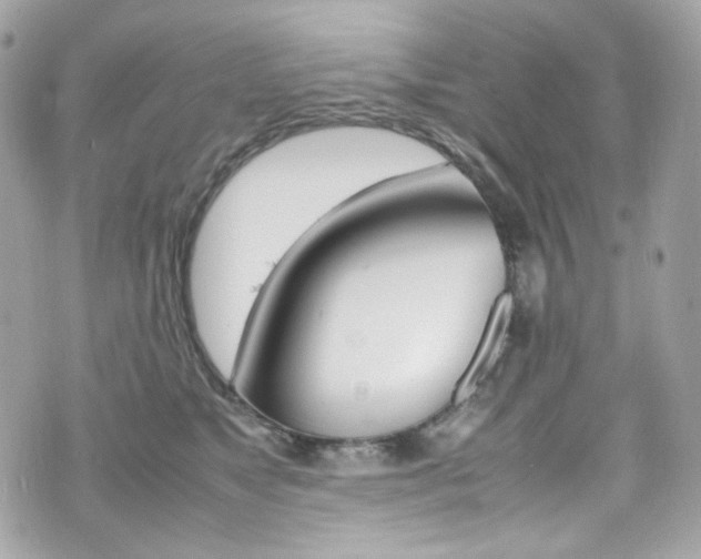 X0000070850517200606160945
