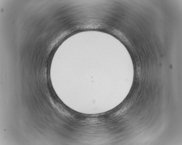 X0000070850534200606160944