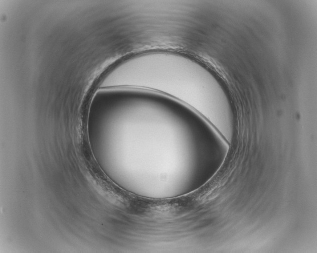 X0000070850540200606160945
