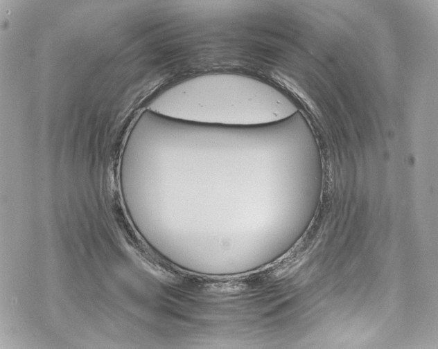 X0000070850541200606160945