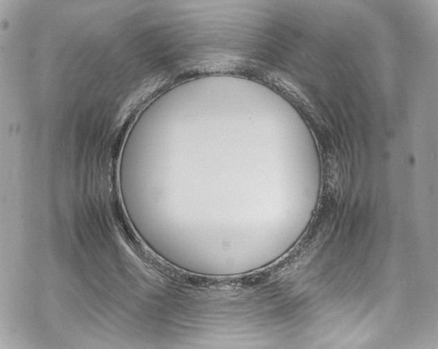 X0000070850586200606160944