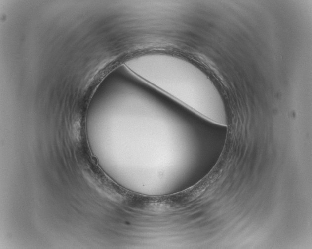 X0000070850596200606160944