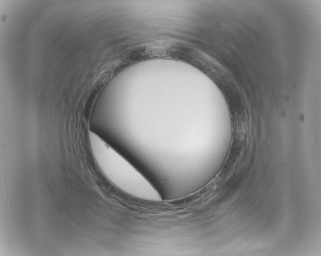 X0000070850603200606160944