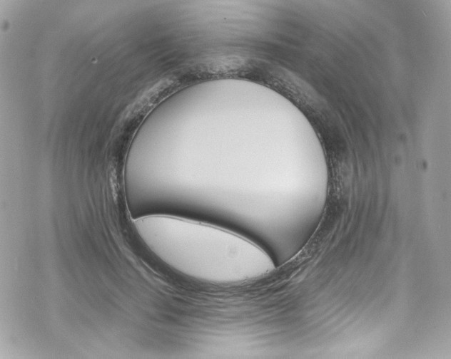 X0000070850644200606160943