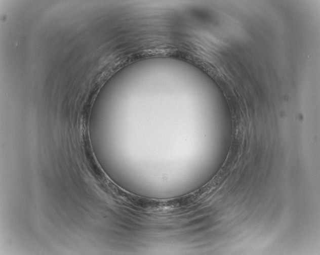 X0000070850647200606160943