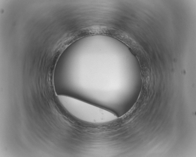 X0000070850696200606160942