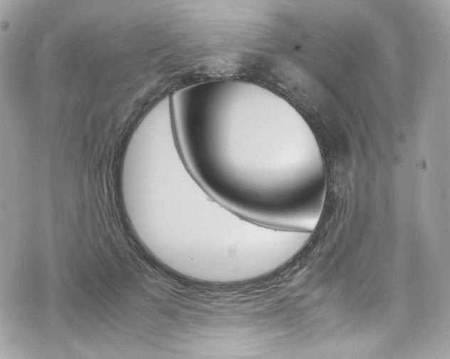 X0000070850697200606160942