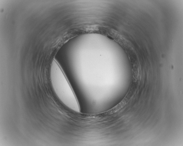 X0000070850704200606160942