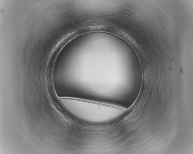 X0000070850722200606160941