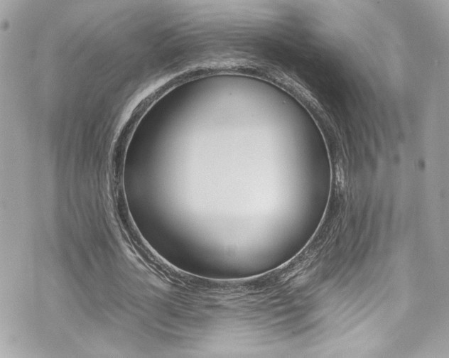 X0000070850724200606160941