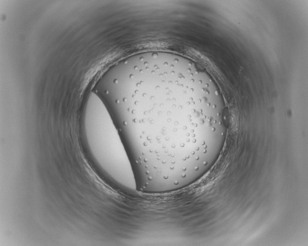 X0000070850725200606160941
