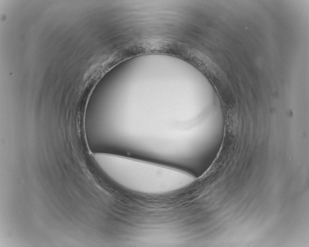 X0000070850740200606160942