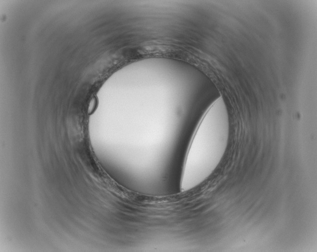 X0000070850751200606160942
