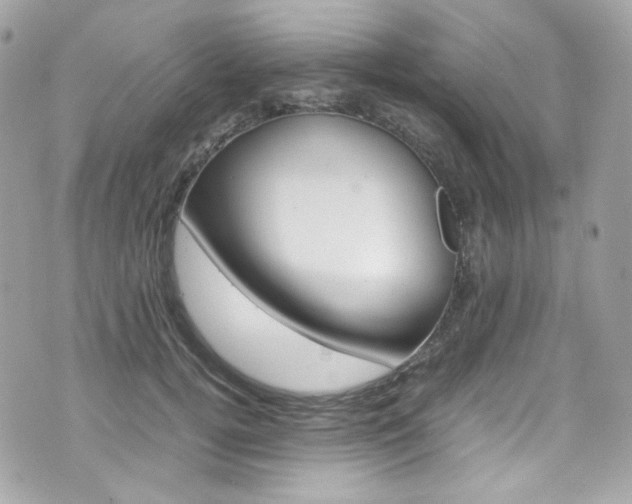 X0000070850752200606160942