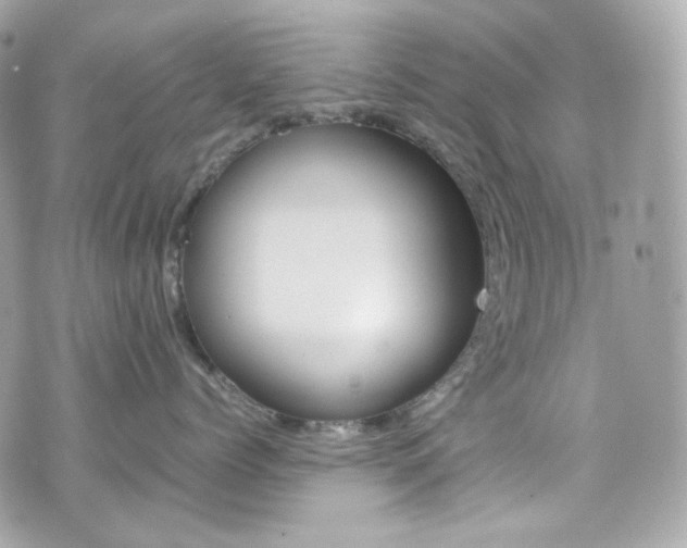 X0000070850768200606160942