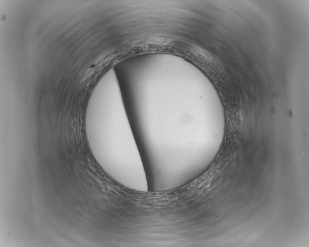 X0000070850774200606160941