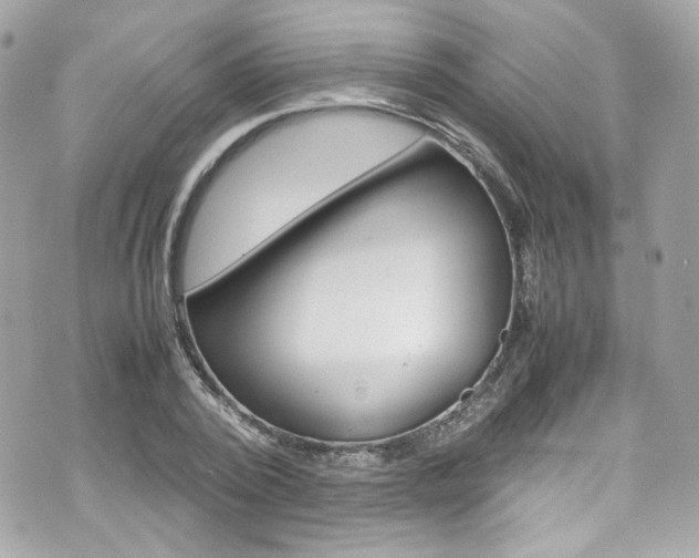 X0000070850784200606160941