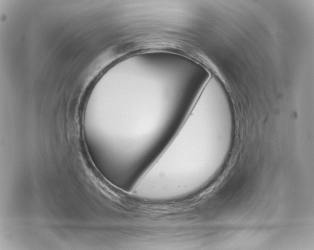 X0000070850787200606160941