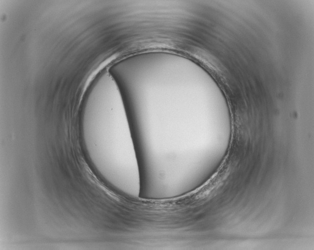 X0000070850790200606160941