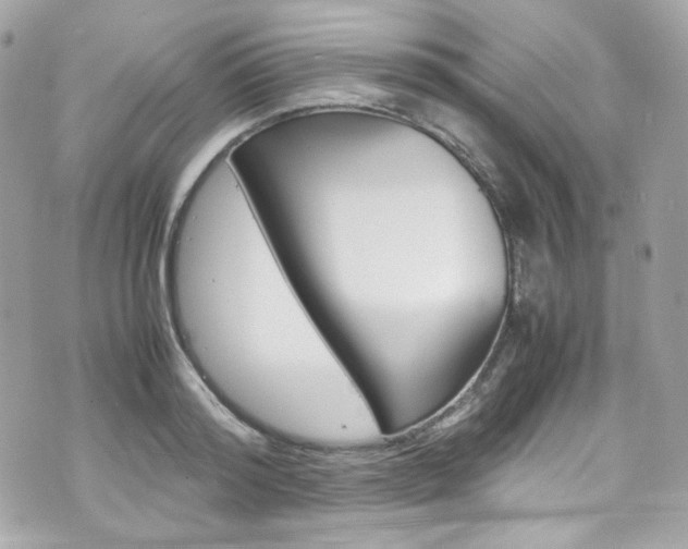 X0000070850796200606160941