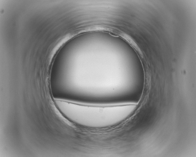 X0000070850805200606160941