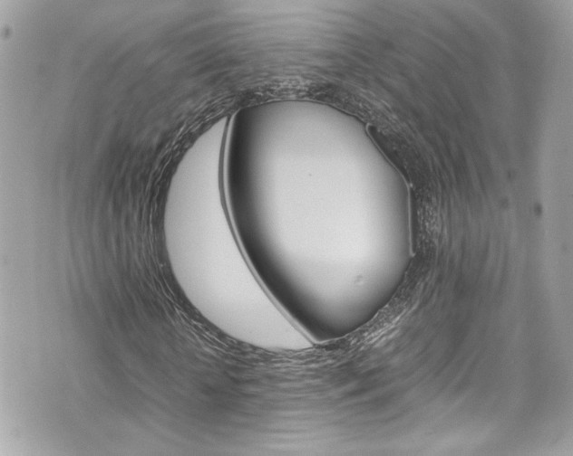 X0000070850818200606160940