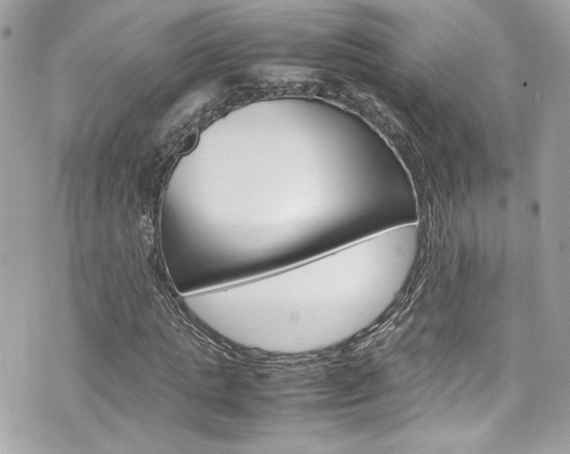 X0000070850821200606160940