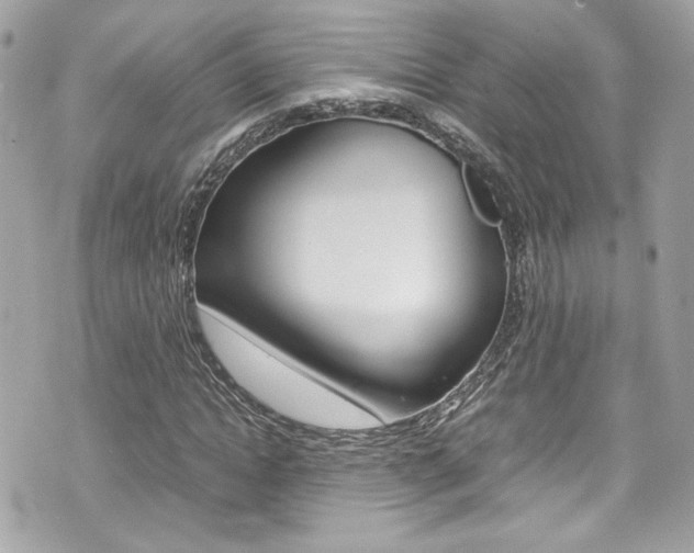 X0000070850822200606160940