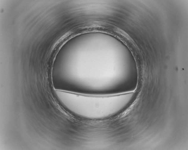 X0000070850826200606160940