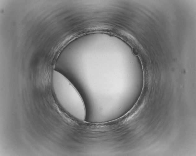 X0000070850833200606160940