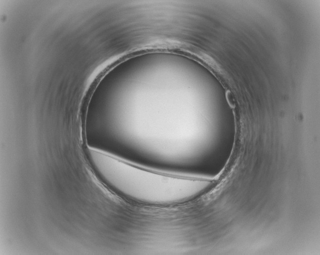X0000070850838200606160940