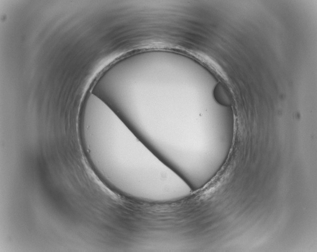 X0000070850839200606160940