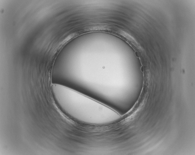 X0000070850841200606160940