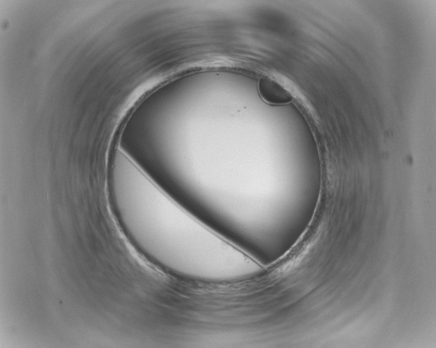 X0000070850845200606160940