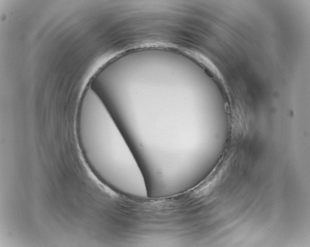 X0000070850847200606160940