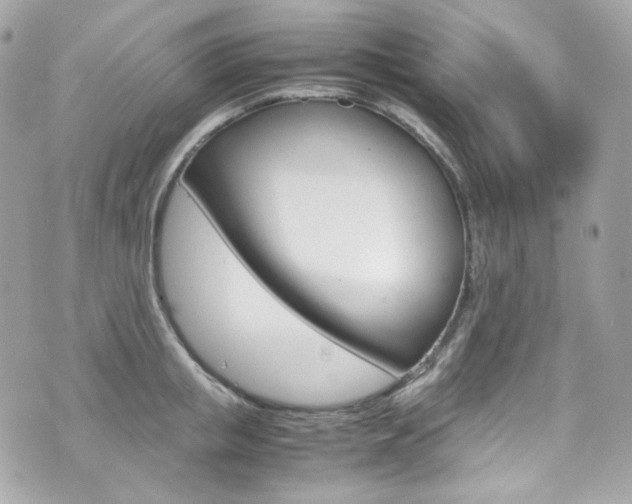 X0000070850853200606160940