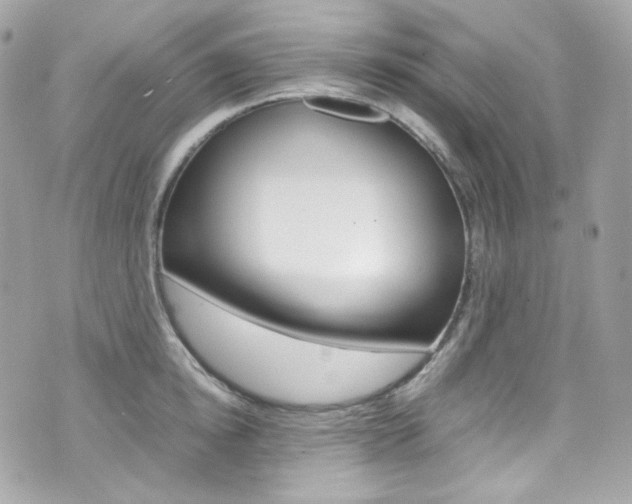 X0000070850854200606160940