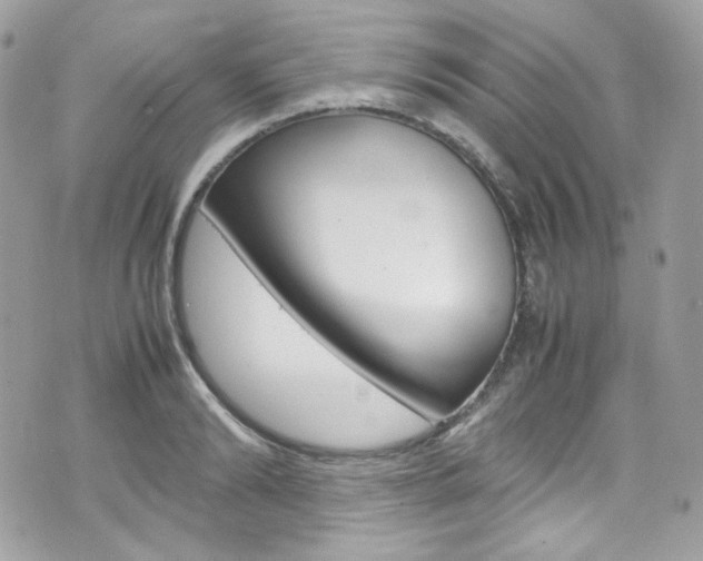 X0000070850894200606160939