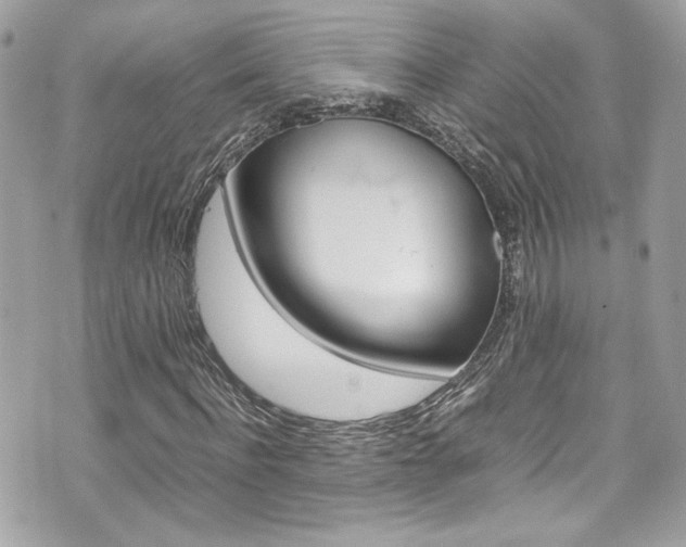 X0000070850916200606160938