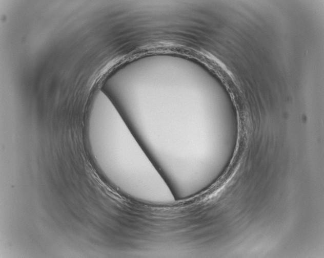 X0000070850921200606160938