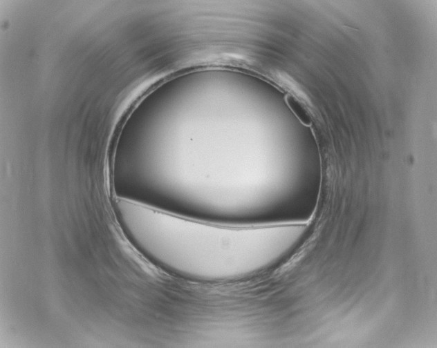 X0000070850940200606160939