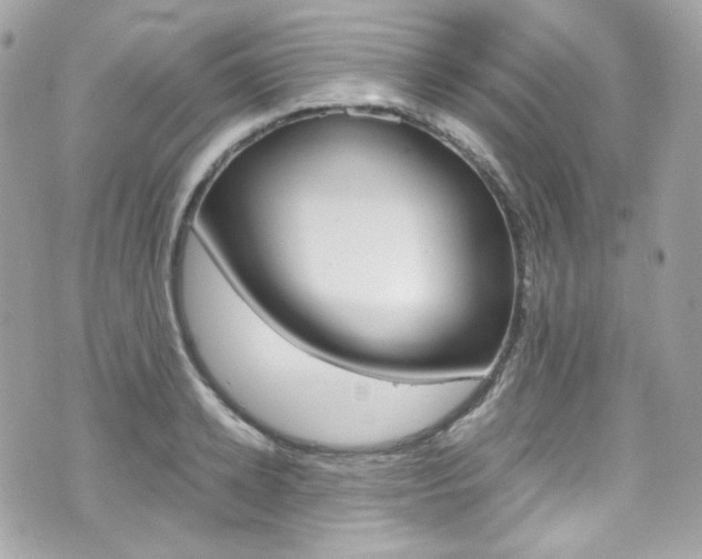 X0000070850942200606160939